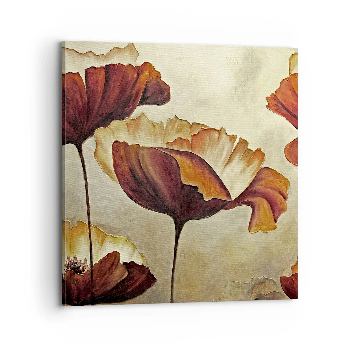 Obraz na plátně - Lán louky - 70x70 cm