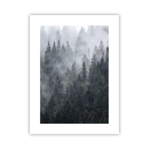 Plakát - Lesní svítání - 30x40 cm