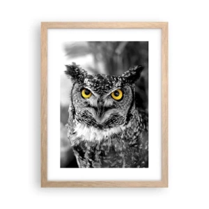 Plakát v rámu světlý dub - Nic se neschová - 30x40 cm