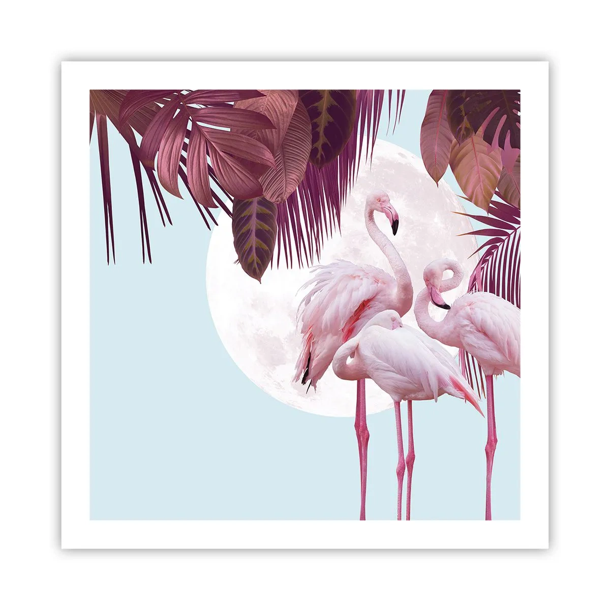 Plakát - Tři ptačí grácie - 60x60 cm