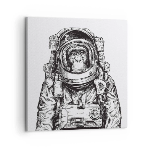 Obraz na plátně - Alternativní vývoj - 60x60 cm