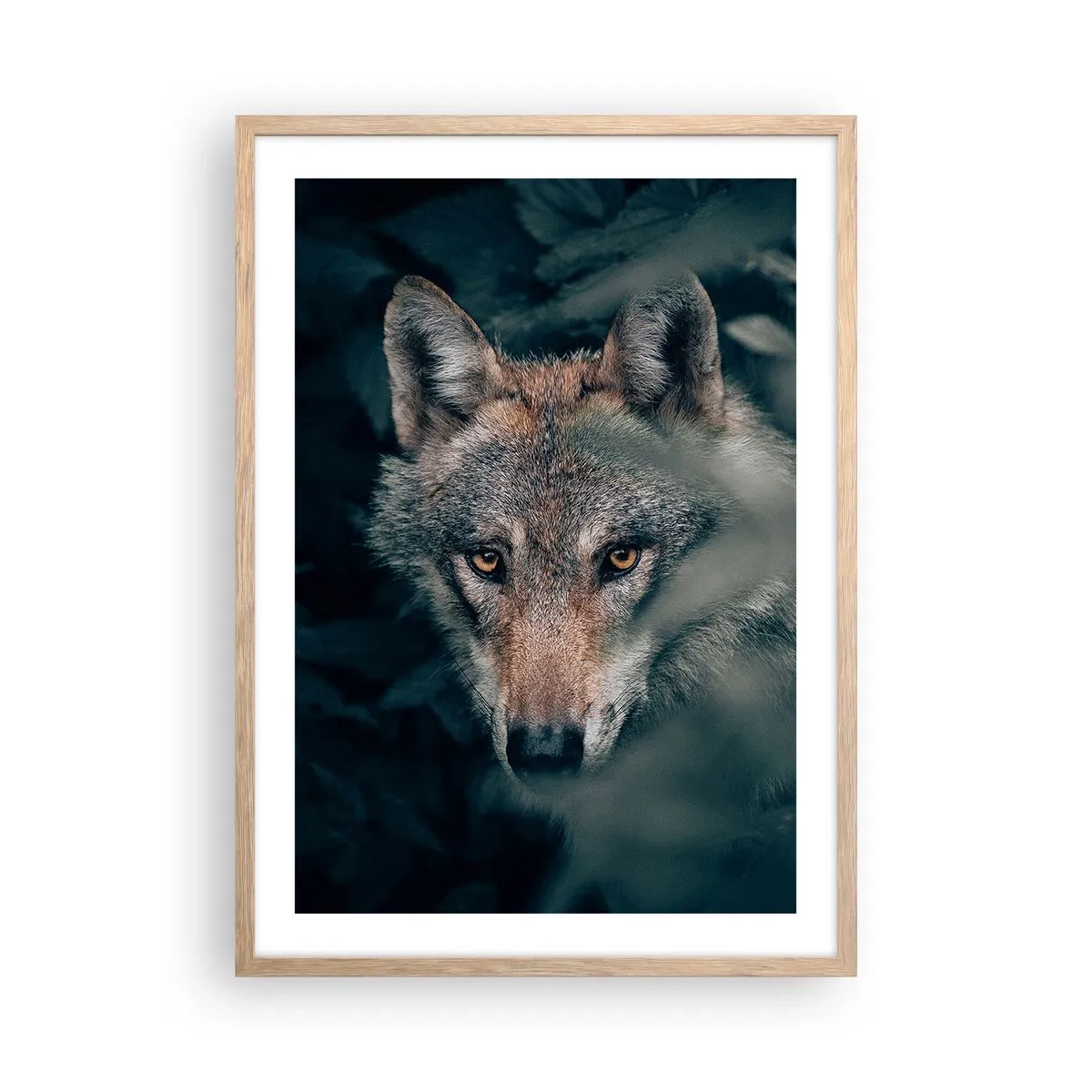 Plakát v rámu světlý dub - Predátor - 50x70 cm