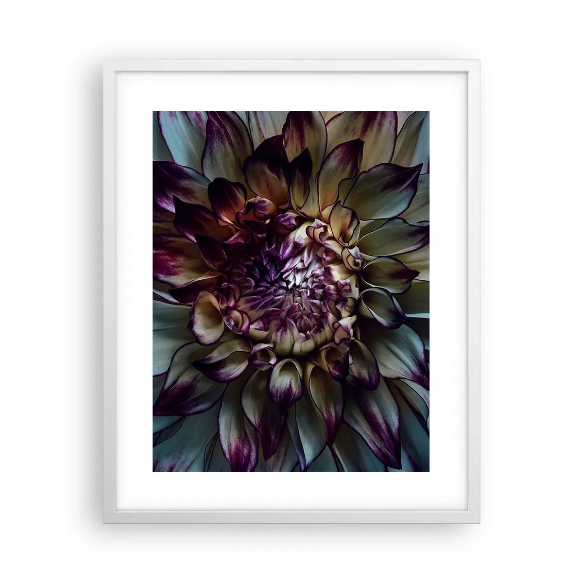 Plakát v bílém rámu - Rozkvět mládí - 40x50 cm