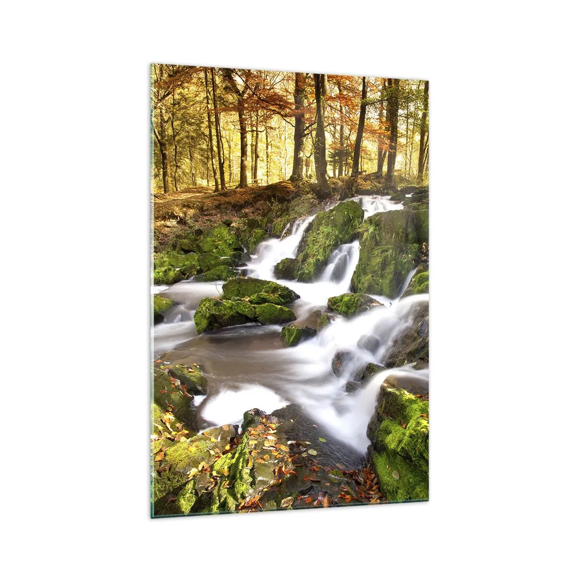 Obraz na skle - Chvatem podzimním lesem - 70x100 cm