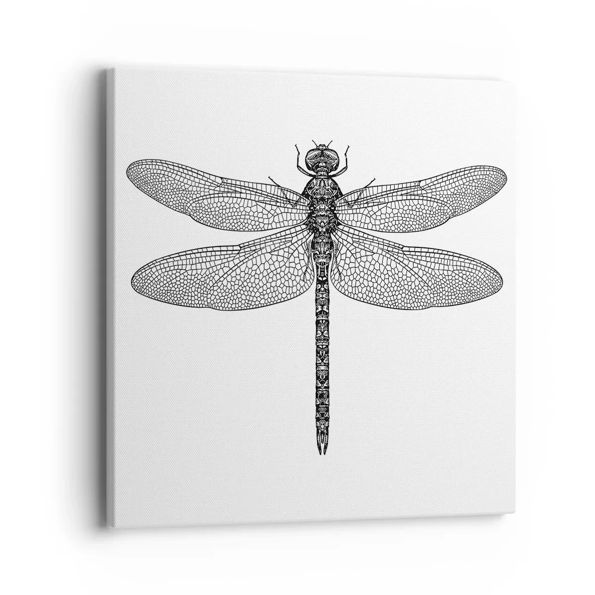 Obraz na plátně - Přesnost přírody - 40x40 cm