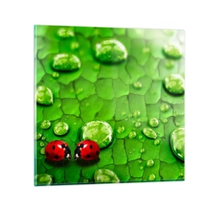 Obraz na skle - Setkání v zeleni - 50x50 cm