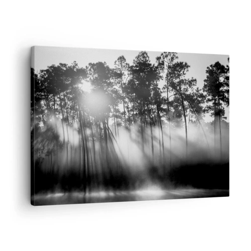 Obraz na plátně - Černobílý les v ranní mlze - 70x50cm - Nezastavitelné slunce - Moderní nástěnná dekorace do obývacího pokoje a ložnice ARTTOR