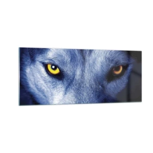 Obraz na skle - Fascinující pohled - 100x40 cm