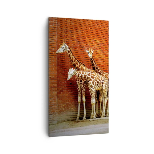 Obraz na plátně - Vidíte nějaký akát? - 45x80 cm