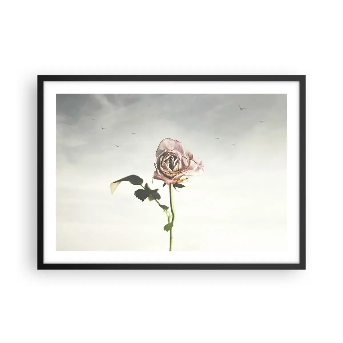 Plakát v černém rámu - Vítání jara - 70x50 cm