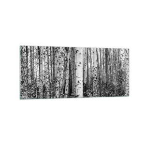 Obraz na skle - Březová kolonáda - 120x50 cm