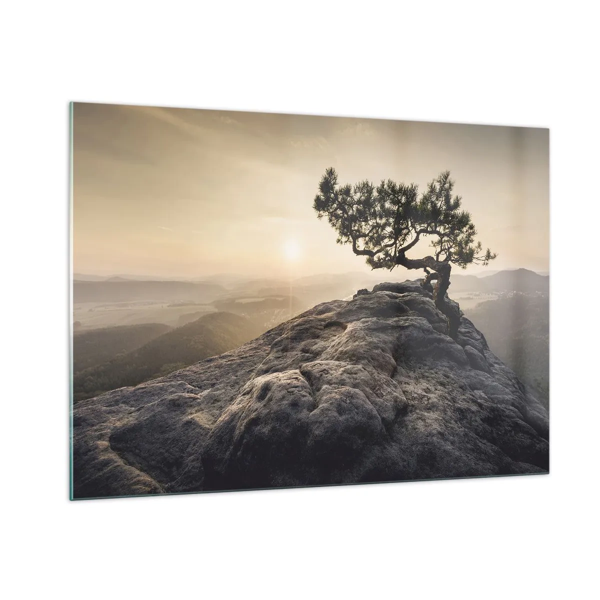 Obraz na skle - Život vždy vítězí - 100x70 cm