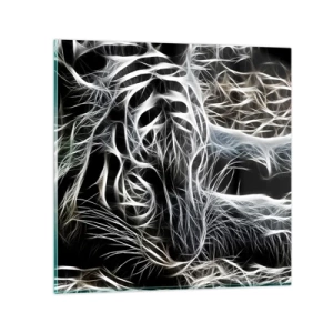 Obraz na skle - Studie kočičí lehkosti - 70x70 cm