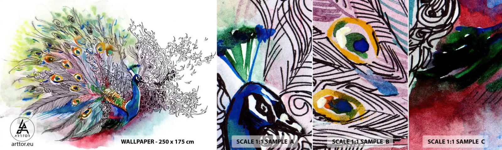 Fototapeta Vzorek Standard Eco - S pýchou proti šedi - Pták, Páv, Peří - 100x30 cm