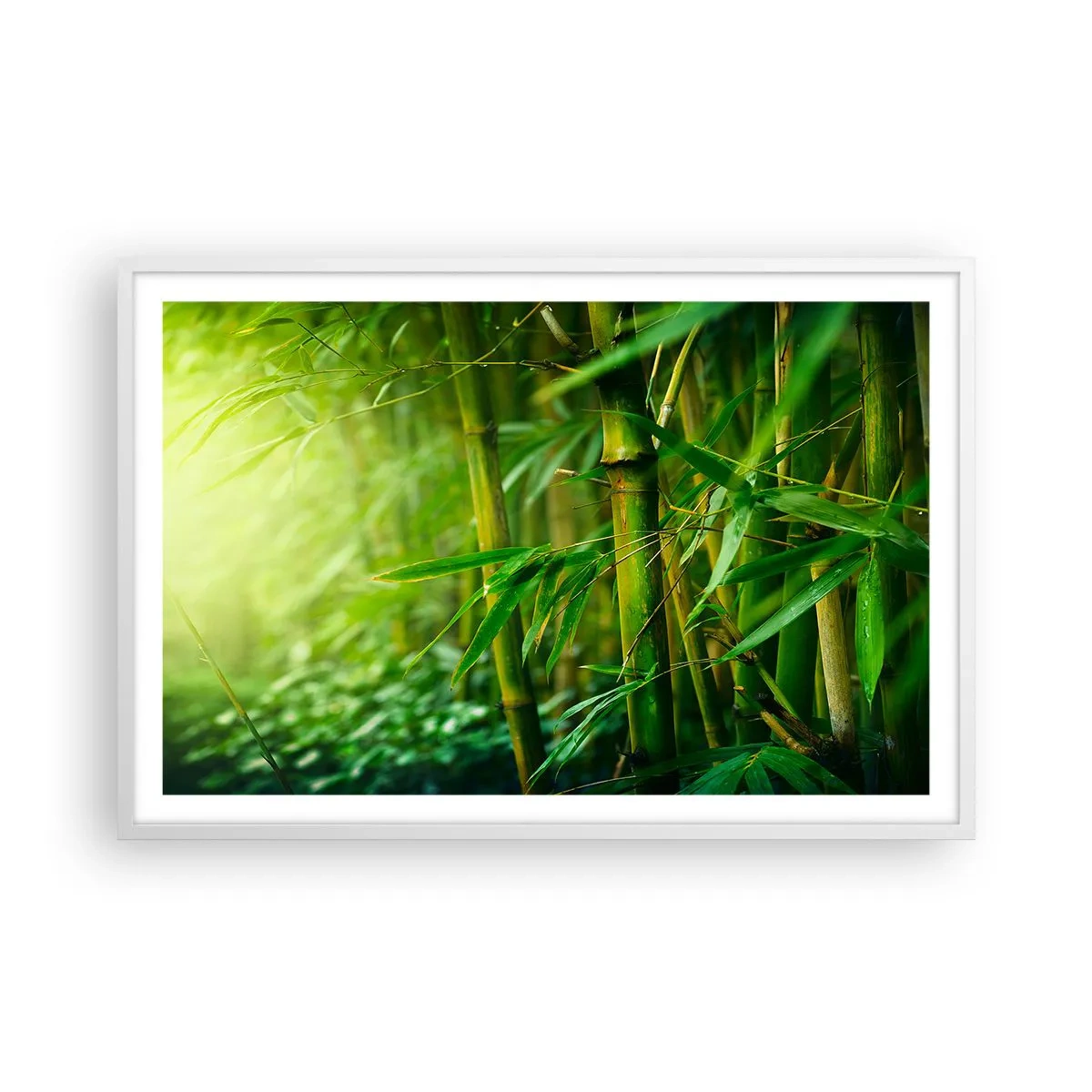 Plakát v bílém rámu - Poznat samotnou zeleň - 91x61 cm