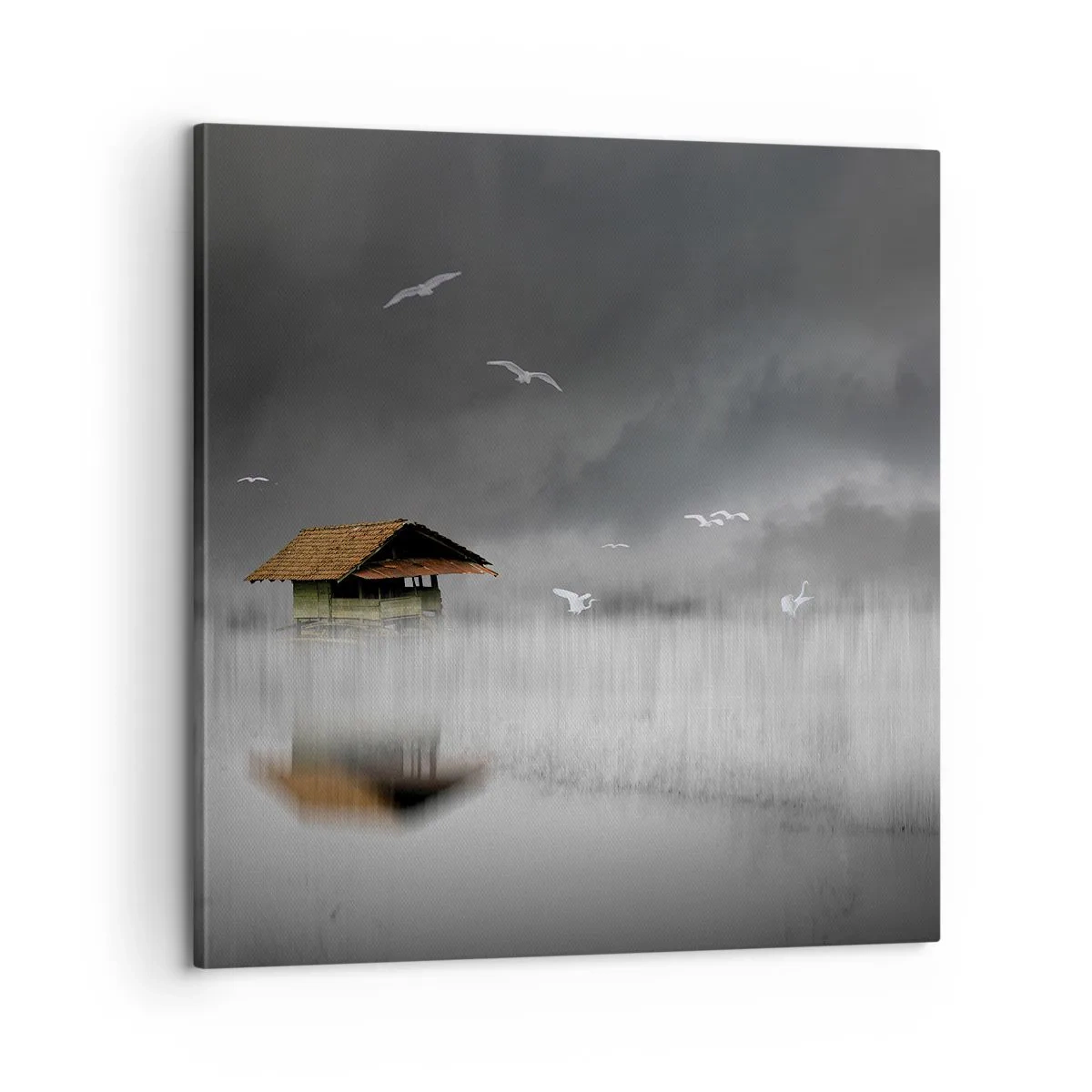 Obraz na plátně - Úkryt před deštěm - 60x60 cm