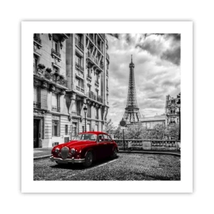 Plakát - Dravec ve městě - 50x50 cm