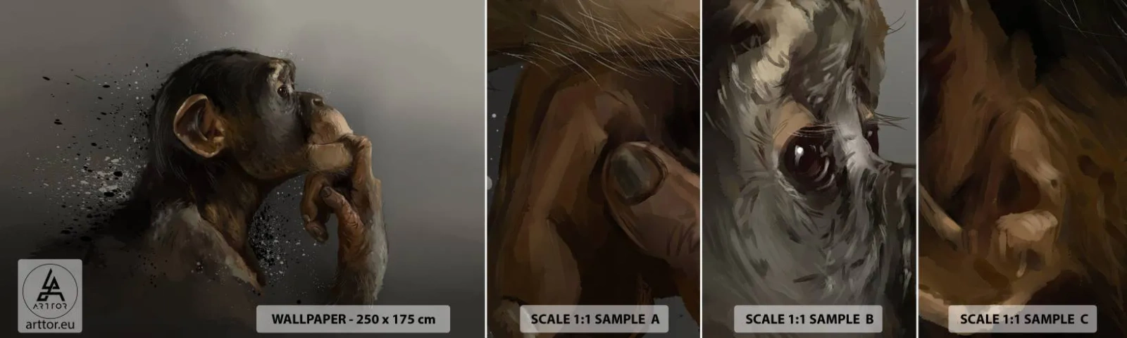 Fototapeta Vzorek Standard Eco - Určitě myslitel - Zvířata, Opice, Kus - 100x30 cm