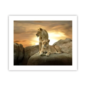 Plakát - Královský majestát - 50x40 cm
