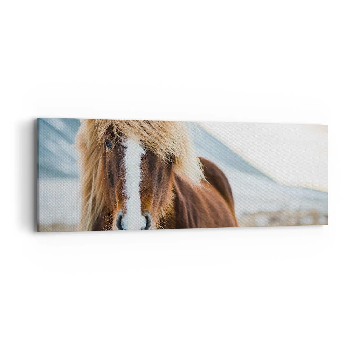 Obraz na plátně - Cítíš svobodu? - 90x30 cm