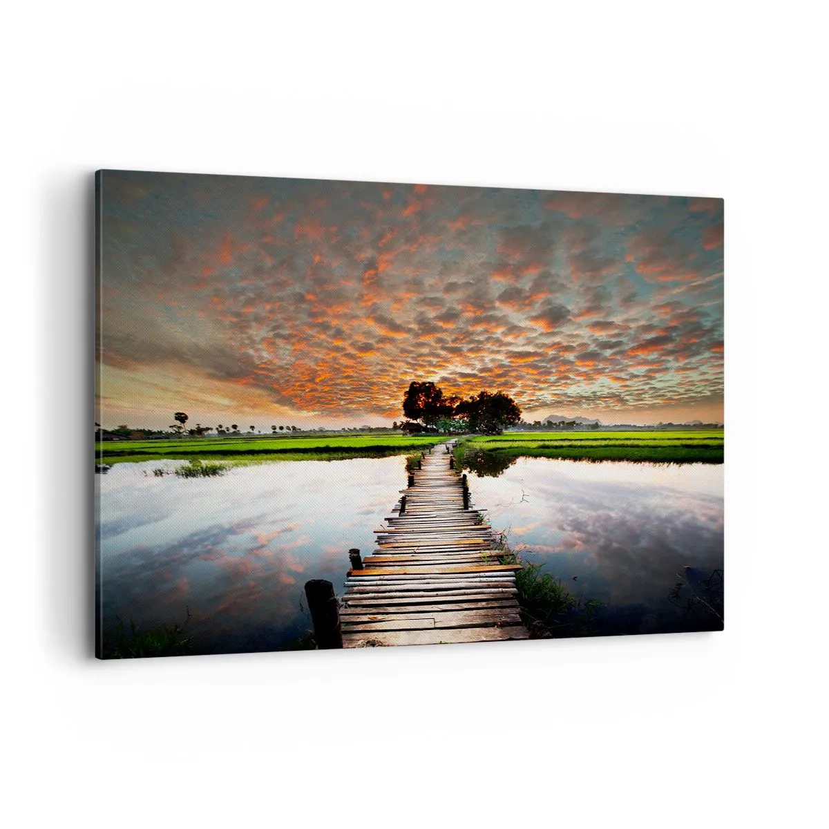 Obraz na plátně - Roztáhněte ruce - dýchejte  - 120x80 cm