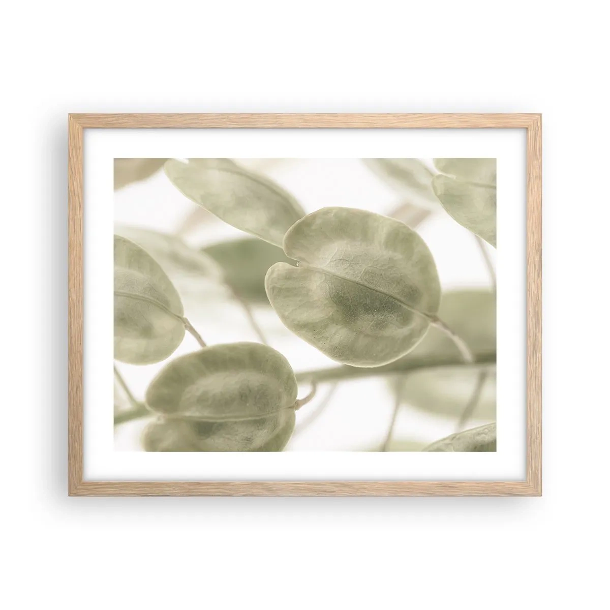 Plakát v rámu světlý dub - Na začátku bylo listí… - 50x40 cm