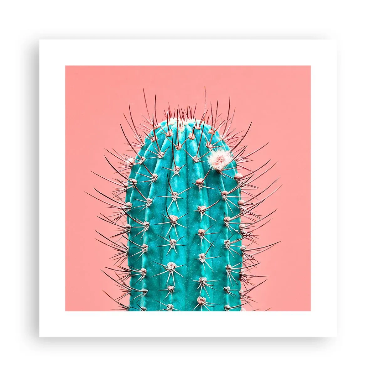 Plakát - Jen koukej - 40x40 cm