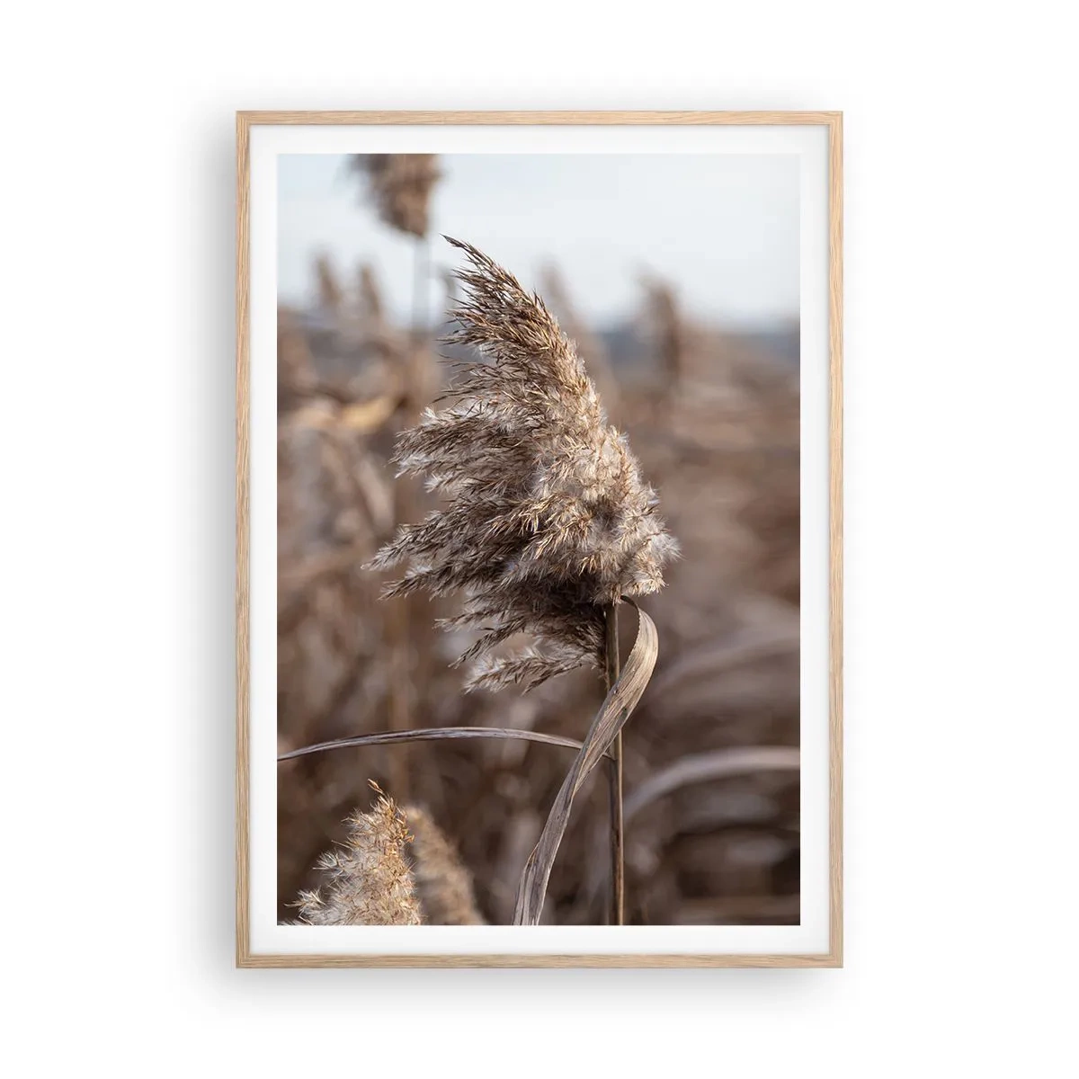 Plakát v rámu světlý dub - Čas odletět s větrem - 70x100 cm