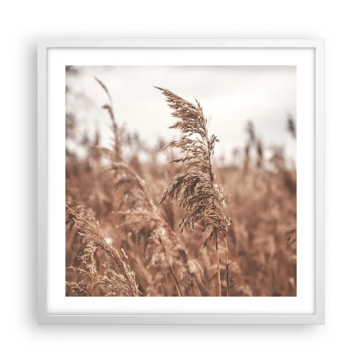 Plakát v bílém rámu - Na polích už je podzim - 50x50 cm