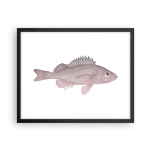 Plakát v černém rámu - Ryba s velkýma očima - 50x40 cm