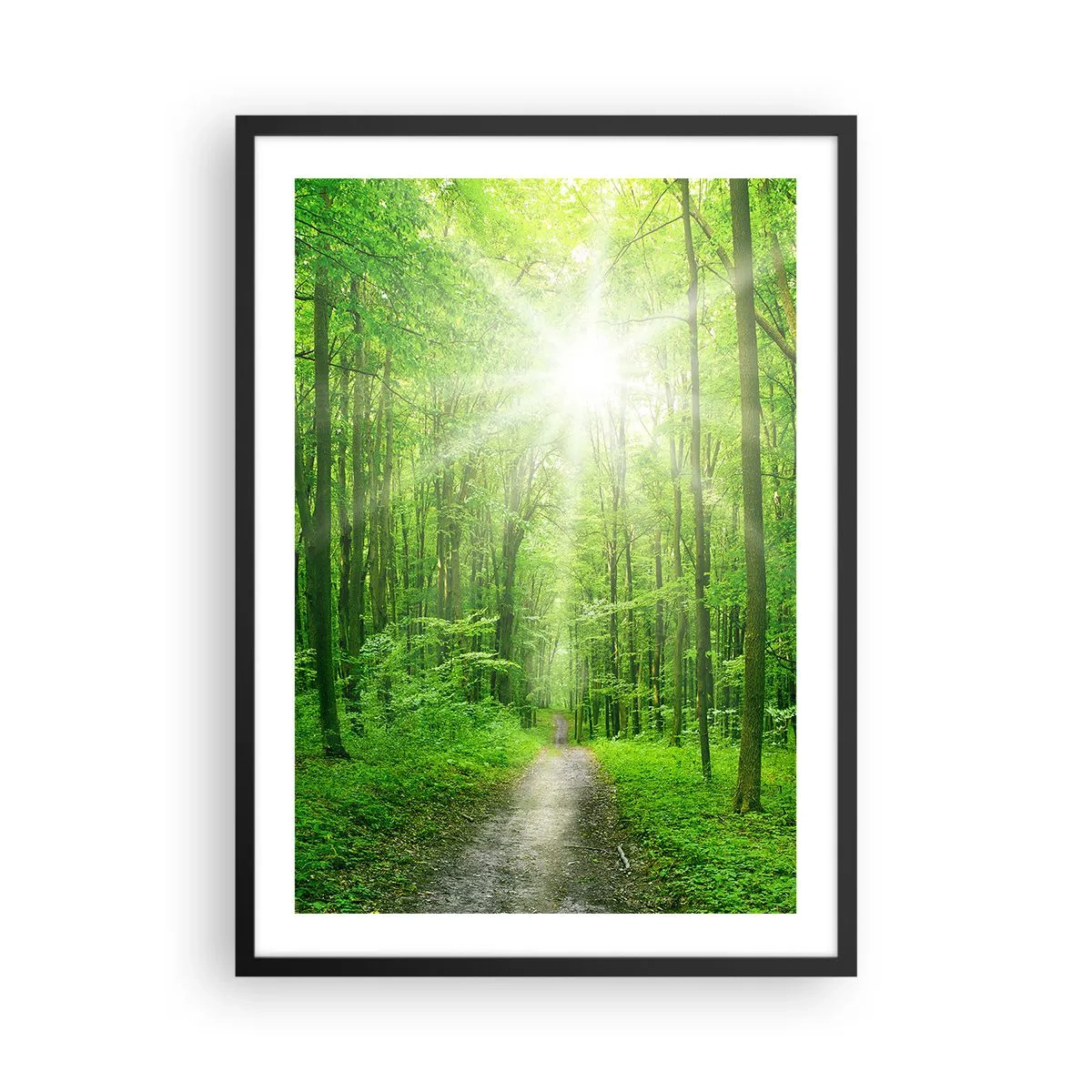 Plakát v černém rámu - Lesní cesta ozářená slunečními paprsky - 50x70cm - Zelená katedrála - Moderní nástěnná dekorace do obývacího pokoje a ložnice ARTTOR