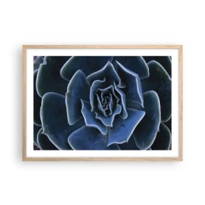 Plakát v rámu světlý dub - Pouštní květ - 70x50 cm