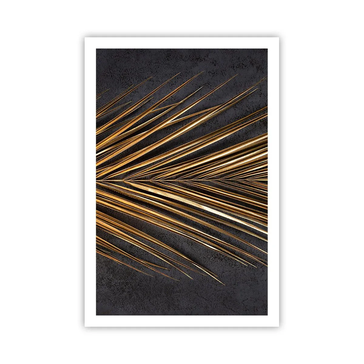 Plakát - Zlato tropů - 61x91 cm