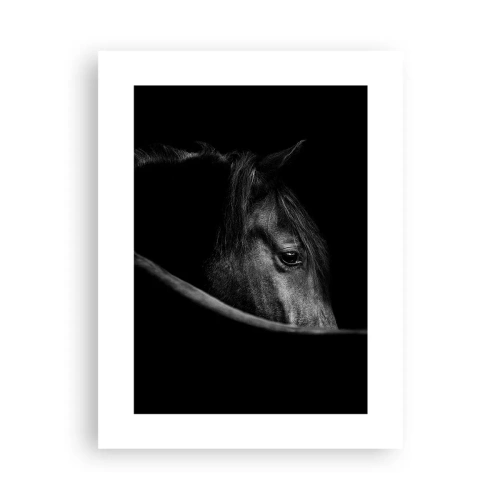 Plakát - Černý kníže - 30x40 cm