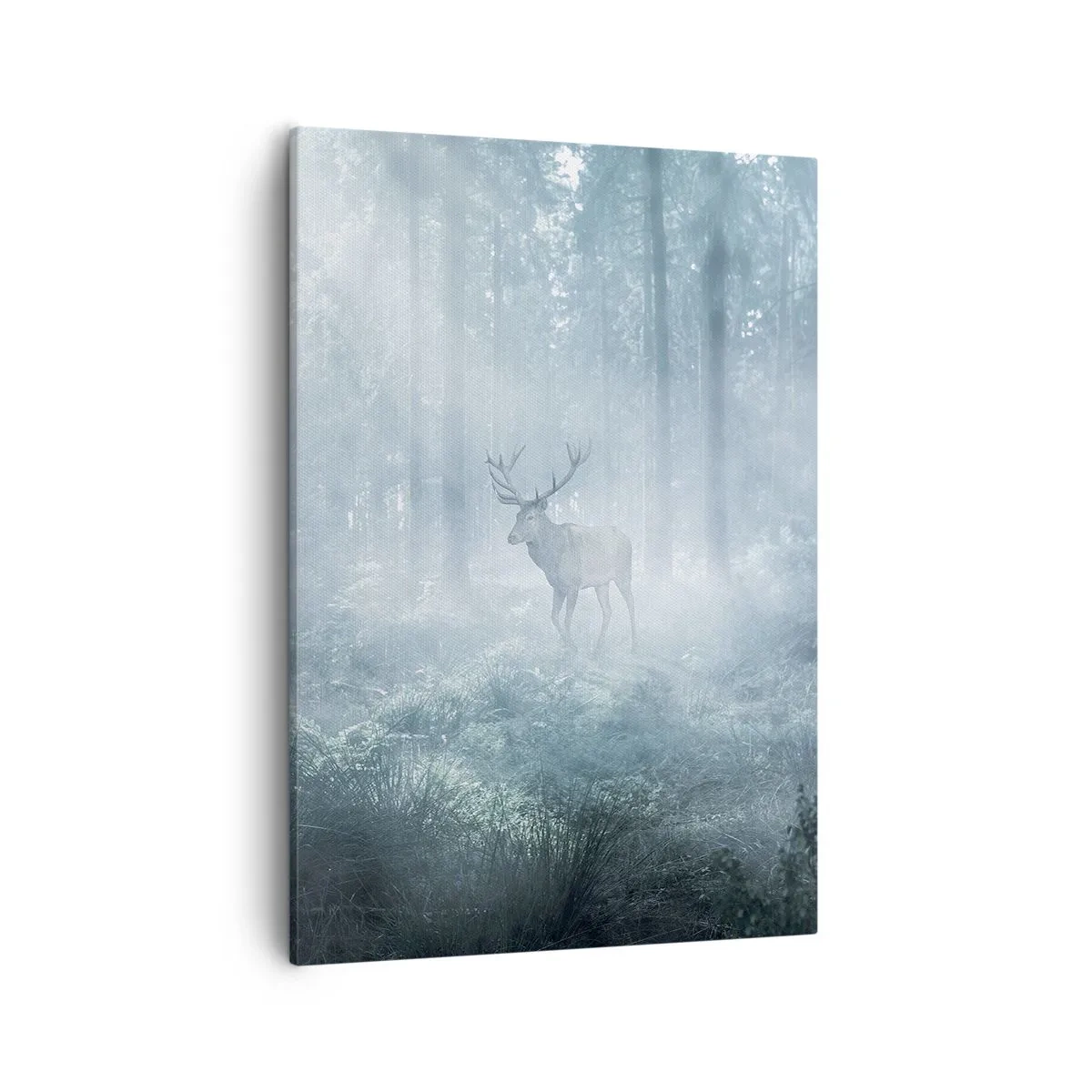 Obraz na plátně - Ranní obchůzka sídliště - 50x70 cm