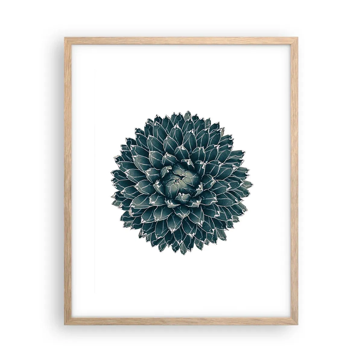 Plakát v rámu světlý dub - Hvězda pouště - 40x50 cm