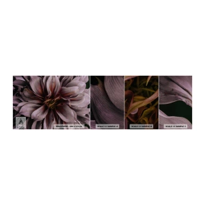 Vzor Fototapety Samolepicí Deluxe Sticker - Květinové srdce - Kytice květin, Jiřina, Květ - 100x30 cm