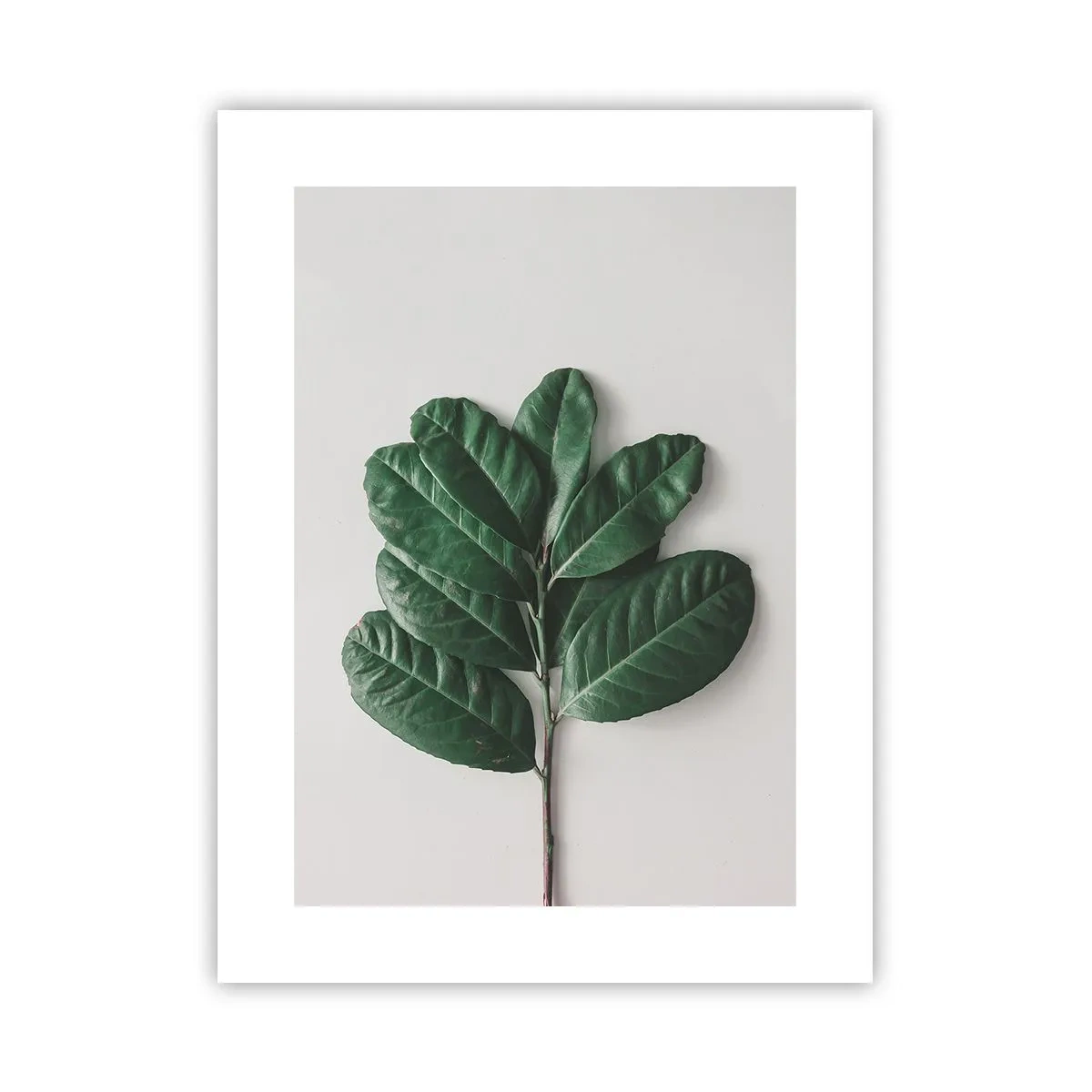 Plakát - Kresba samotné přírody - 30x40 cm