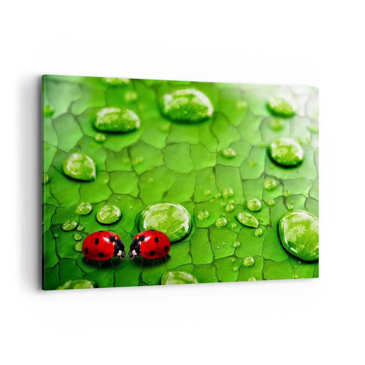 Obraz na plátně - Setkání v zeleni - 120x80 cm