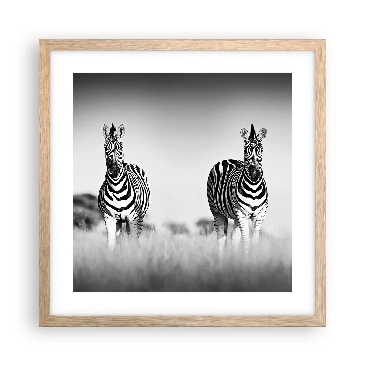Plakát v rámu světlý dub - A přesto je svět černo-bílý - 40x40 cm