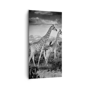 Obraz na plátně - Vyšší kruhy v Africe - 65x120 cm