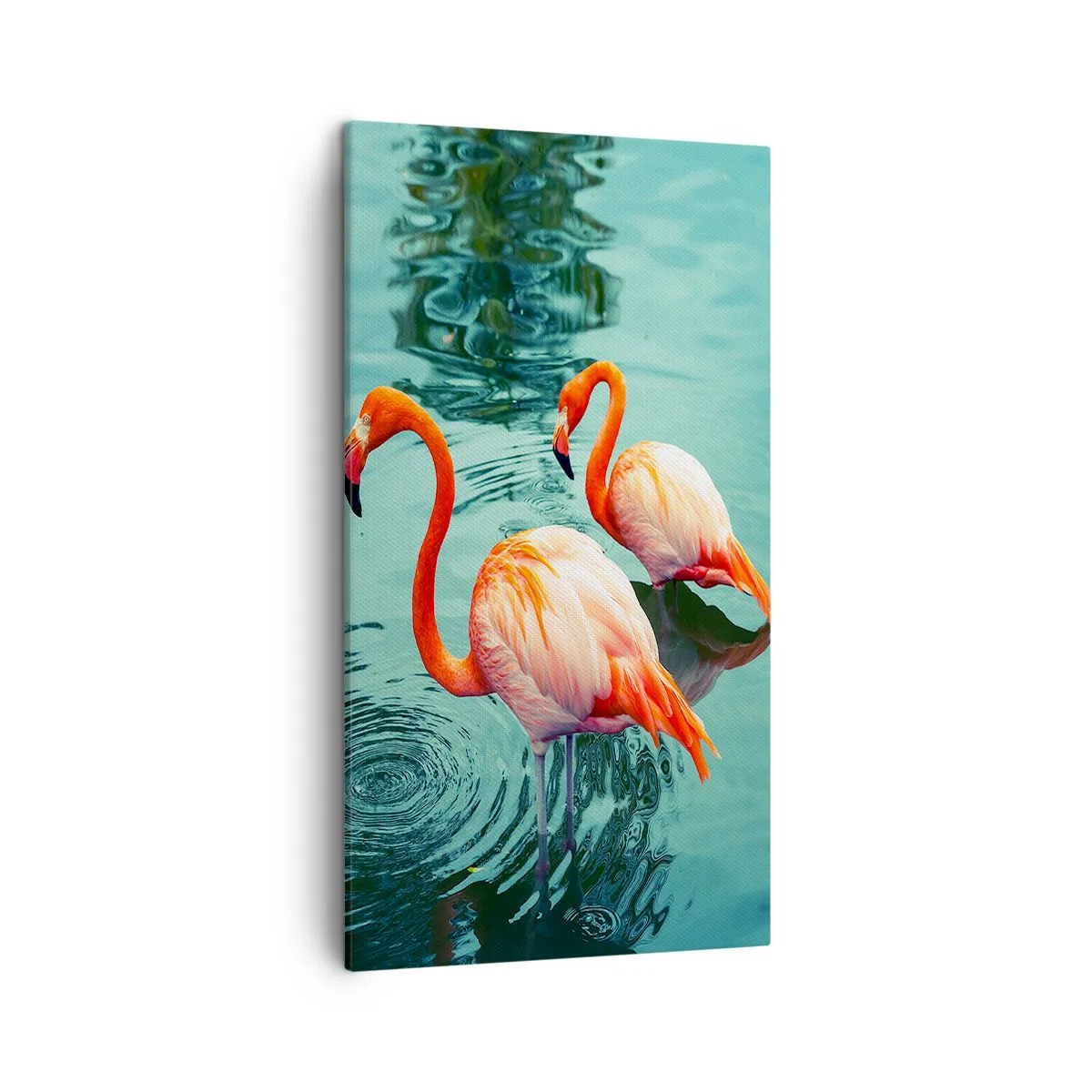 Obraz na plátně - Nyní jsme v módě - 45x80 cm