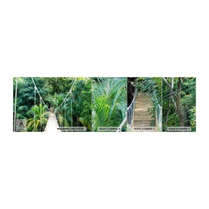 Vzor Fototapety Premium Canvas - Welcome to the jungle! - Krajina, Džungle, Honduras - 100x30 cm