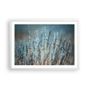 Plakát v bílém rámu - Voňavý lán - 70x50 cm