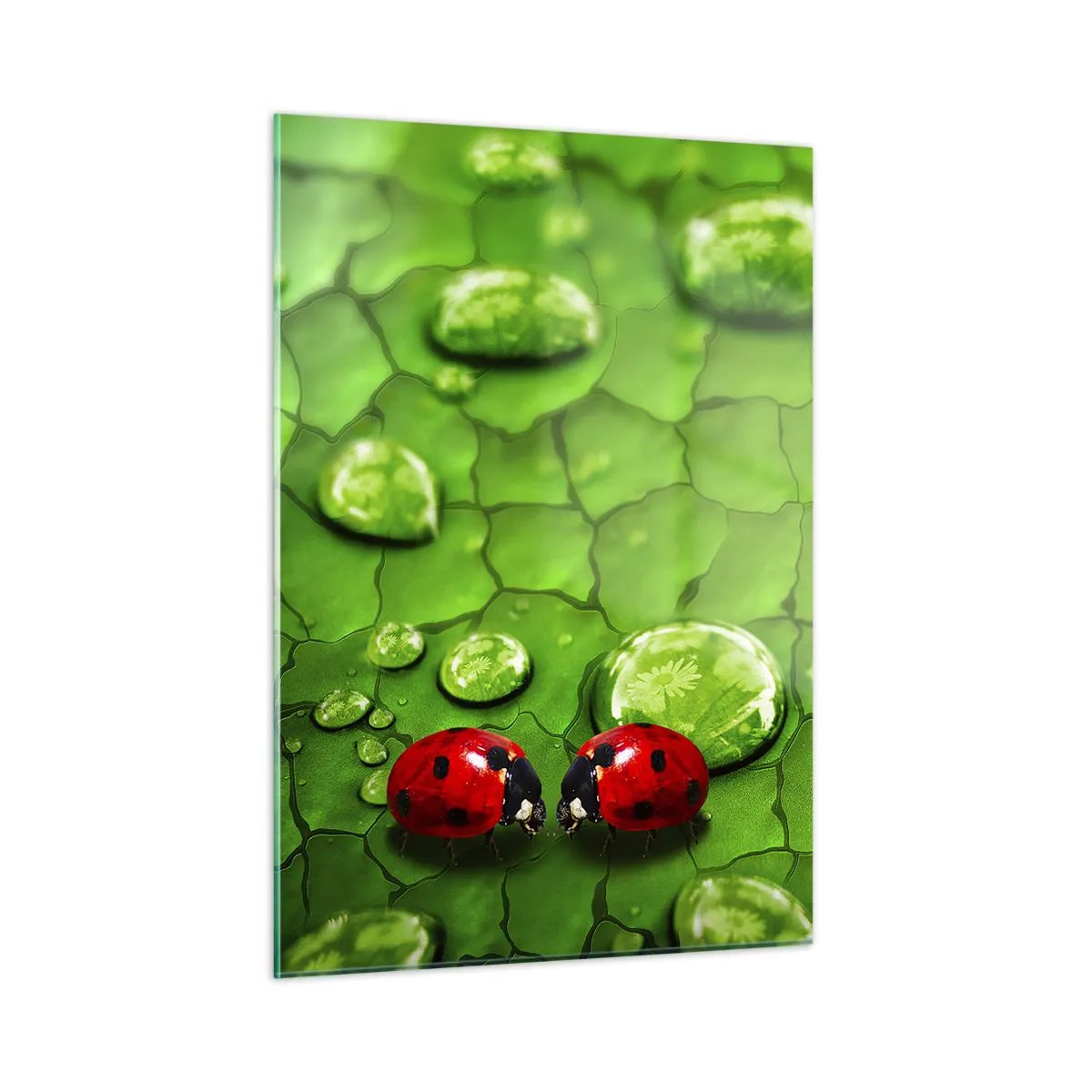 Obraz na skle - Setkání v zeleni - 50x70 cm