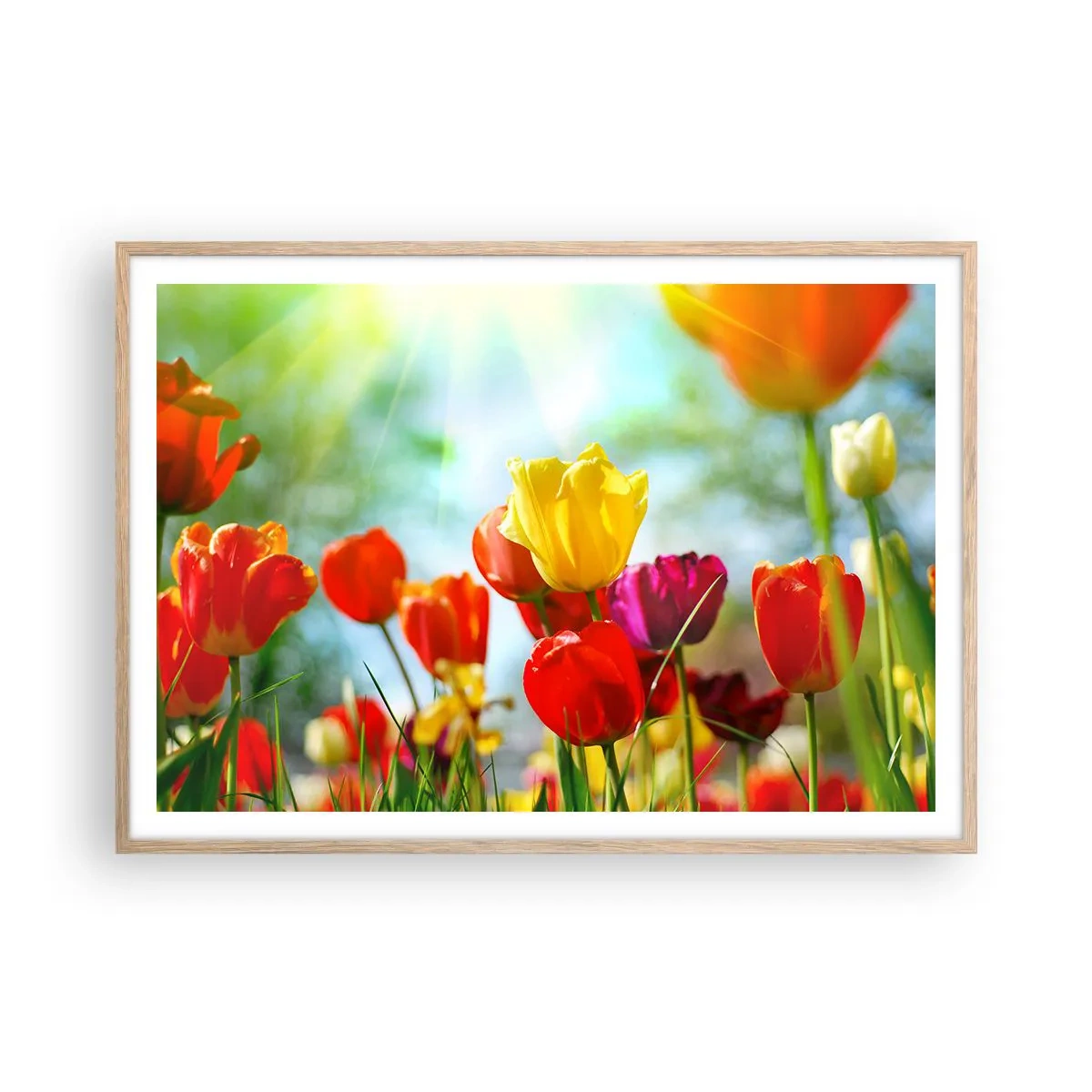 Plakát v rámu světlý dub - Všechny barvy slunce - 100x70 cm
