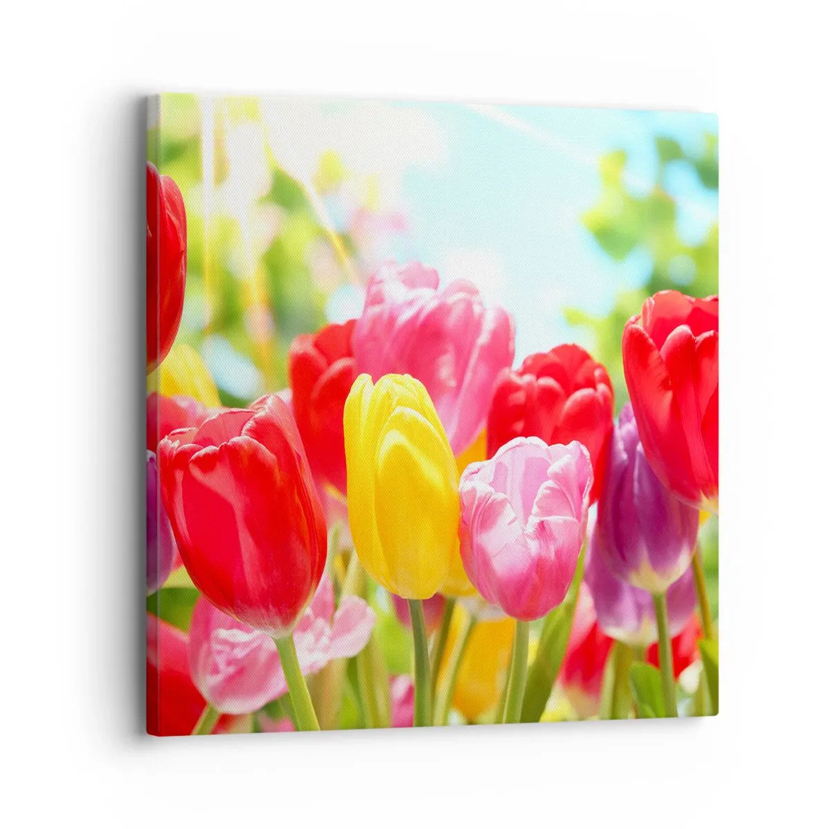 Obraz na plátně - To jsme my, barvy května! - 30x30 cm