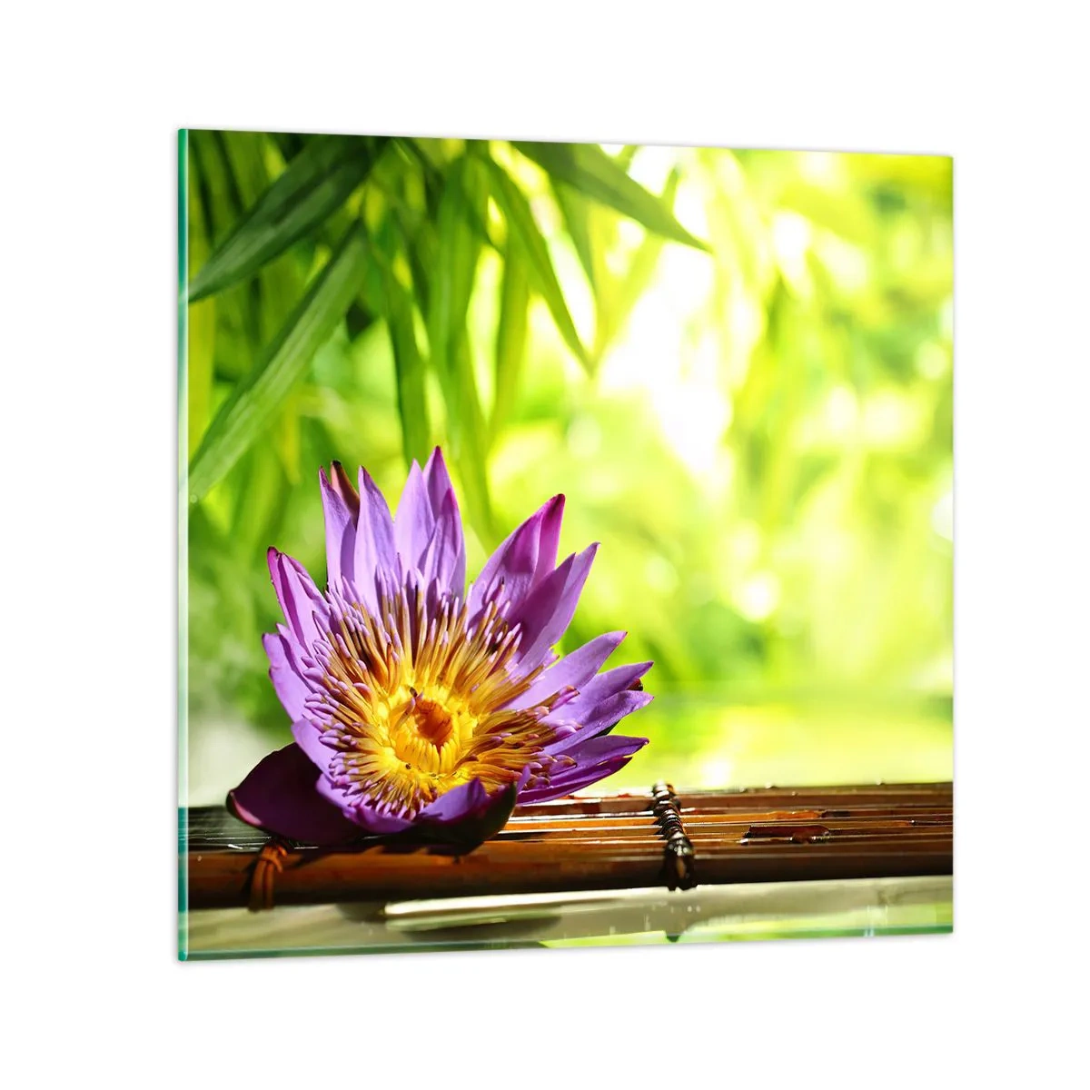 Obraz na skle - Na asijském slunci - 70x70 cm