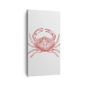 Obraz na plátně - Krab nad kraby - 55x100 cm