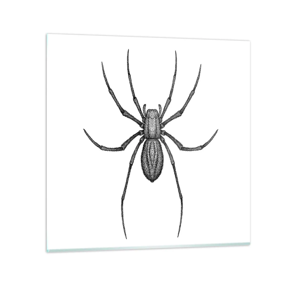 Obraz na skle - Znepokojivá přesnost - 60x60 cm